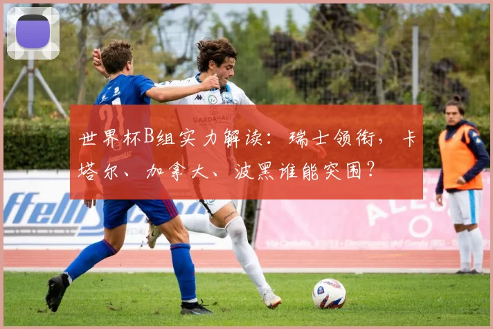 世界杯B组实力解读：瑞士领衔，卡塔尔、加拿大、波黑谁能突围？