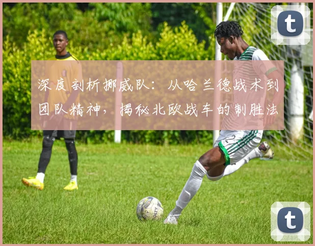 深度剖析挪威队：从哈兰德战术到团队精神，揭秘北欧战车的制胜法则